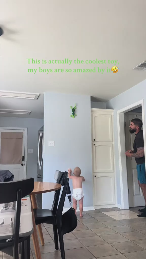 Interactive Climbing Gecko video